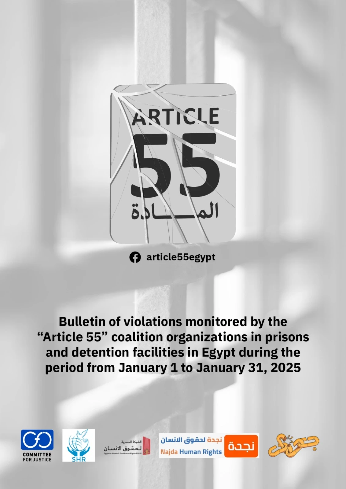 “Article 55” Coalition Issue Monthly Bulletin on Detention Centers and Prison Conditions for January 2025