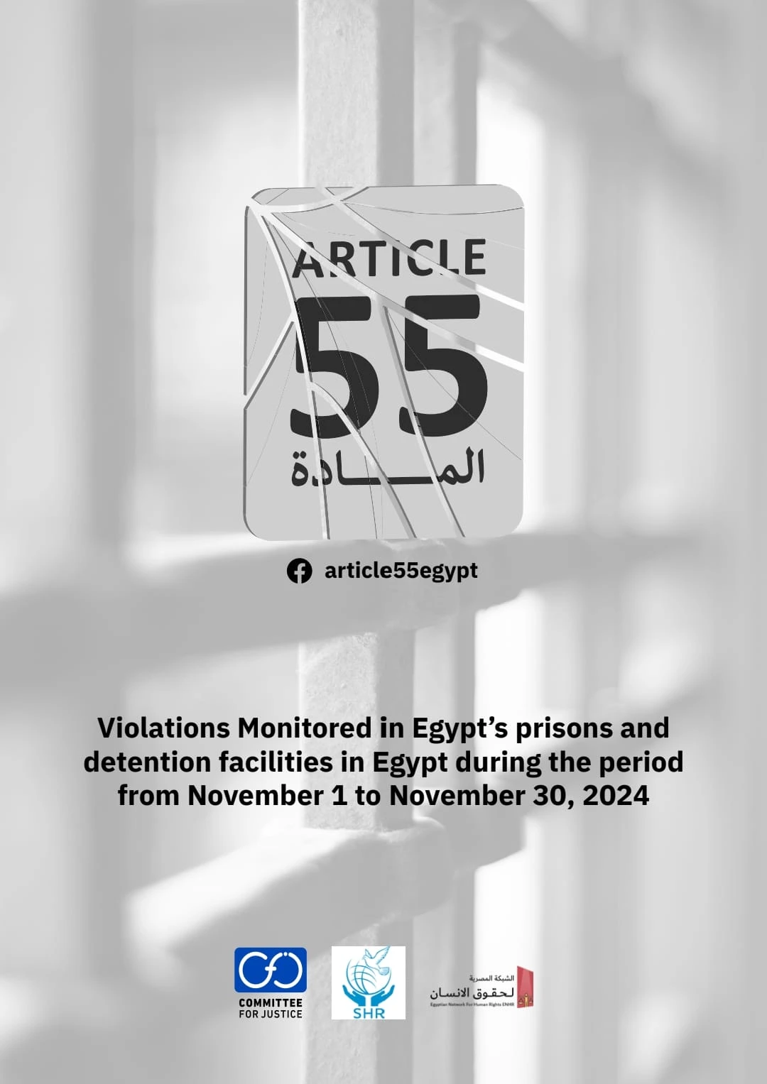 Egypt: The “Article 55” Alliance Documents Escalating Violations in Egyptian Prisons and Detention Centers During November 2024