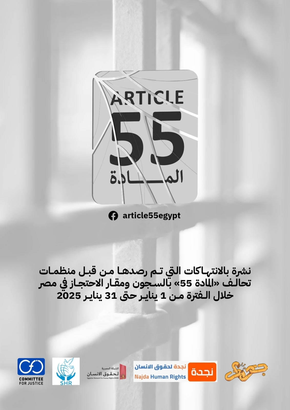 منظمات تحالف المادة 55 تصدر نشرتها الشهرية حول الأوضاع داخل مراكز ومقار الاحتجاز عن شهر يناير 2025